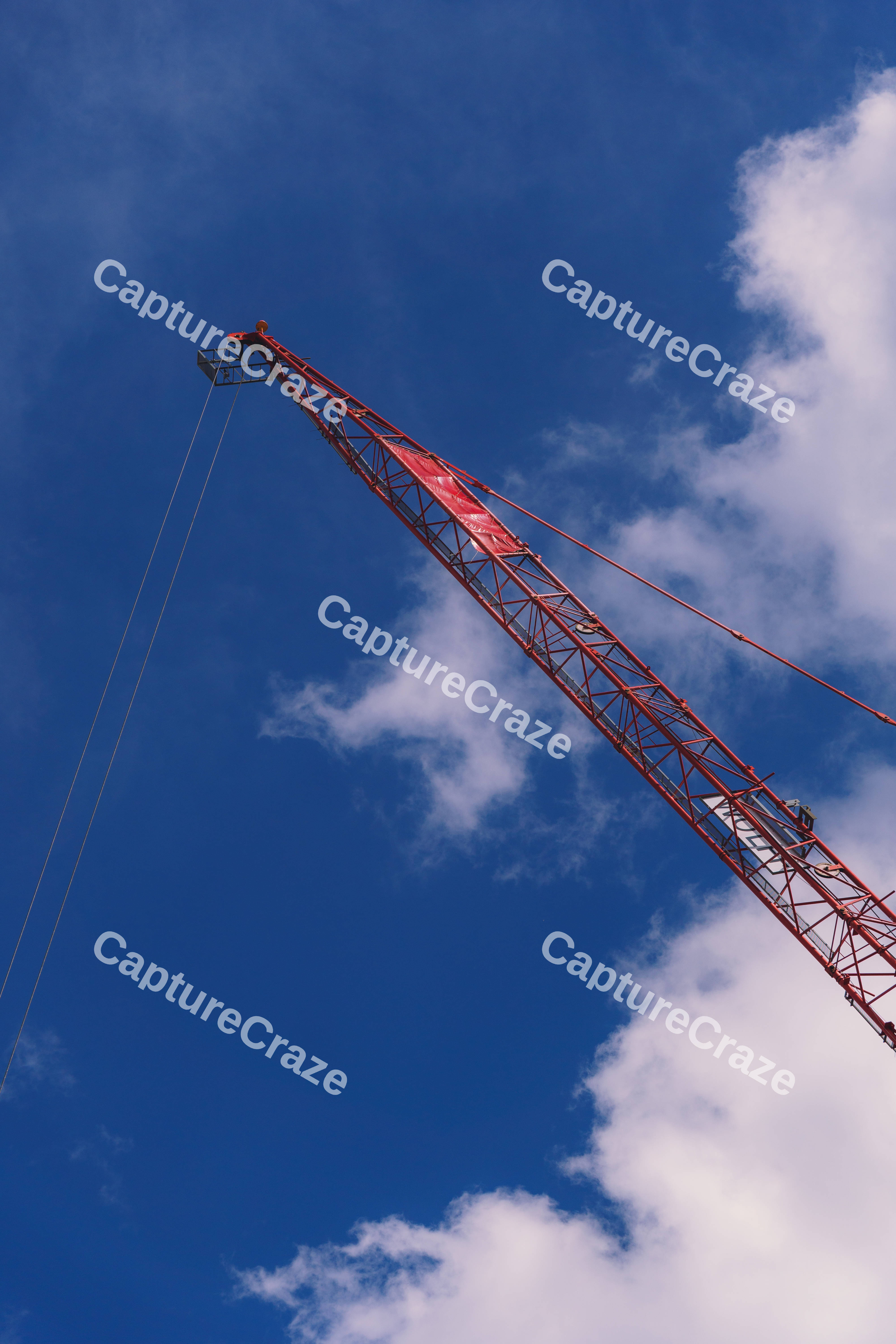 Red Crane In The Sky